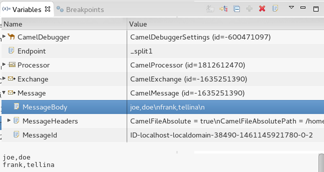 camel debug