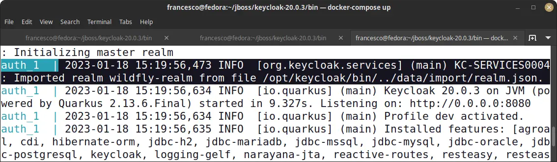 keycloak with docker example