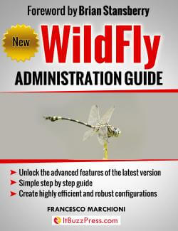 wildfly book
